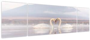 Obraz - Zamilované labutě (170x50 cm)