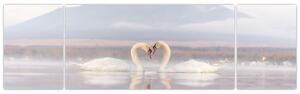 Obraz - Zamilované labutě (170x50 cm)