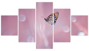 Obraz - Motýlek (125x70 cm)