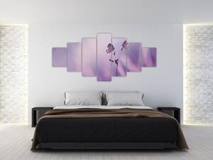 Obraz - Fialoví motýlci (210x100 cm)