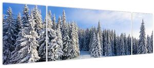 Obraz - Zima v lesích (170x50 cm)