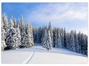 Obraz - Zima v lesích (70x50 cm)