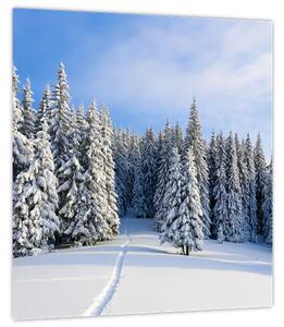 Obraz - Zima v lesích (30x30 cm)