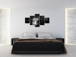 Obraz - Kráva (125x70 cm)