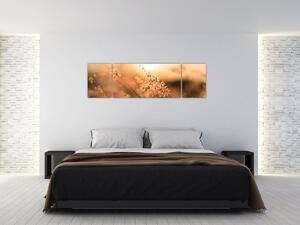 Obraz - Tráva na slunci (170x50 cm)