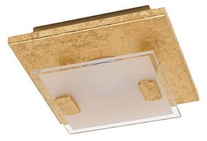 Eglo 97757 - LED Stropní svítidlo VICARO 1 LED/2,5W/230V