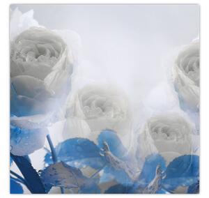 Obraz - Bílé růže (30x30 cm)