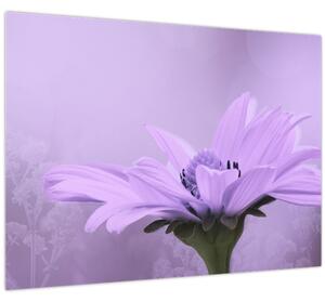 Obraz - Fialová květina (70x50 cm)