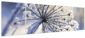 Obraz - Zmrzlý květ (170x50 cm)