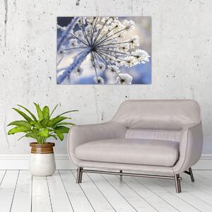 Obraz - Zmrzlý květ (70x50 cm)