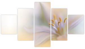 Obraz - Jemný květ (125x70 cm)