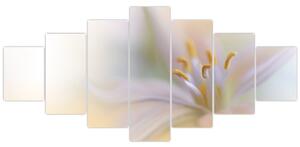 Obraz - Jemný květ (210x100 cm)