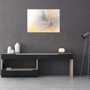 Obraz - Jemný květ (70x50 cm)