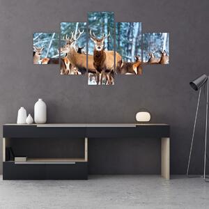 Obraz - Stádo jelenů (125x70 cm)