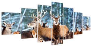 Obraz - Stádo jelenů (210x100 cm)