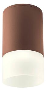 Redo 90355 stropní LED svítidlo Xilo tmavě hnědé, 6W, 4000K, ø9cm