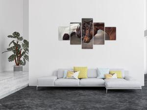 Obraz - Zamilovaní koni (125x70 cm)