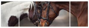 Obraz - Zamilovaní koni (170x50 cm)