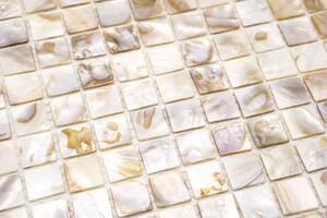 Mozaika perleťová střední 20x20mm