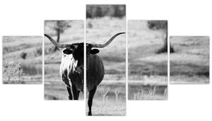 Obraz - Kráva, černobílá (125x70 cm)