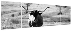 Obraz - Kráva, černobílá (170x50 cm)