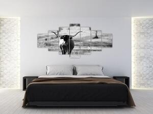 Obraz - Kráva, černobílá (210x100 cm)