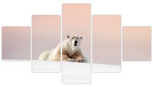 Obraz - Lední medvěd (125x70 cm)
