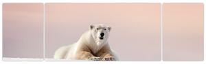 Obraz - Lední medvěd (170x50 cm)