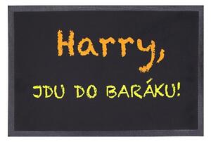 Hans Home | Rohožka Harry, jdu do baráku 40x60 cm