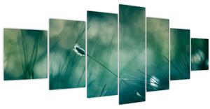 Obraz - Detail trávy (210x100 cm)