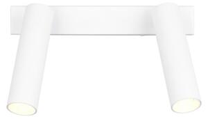 Trio T849210231 LED bodové stropní svítidlo AMBALA integrovaný LED zdroj | 2x500lm | 2300+3000+4000K