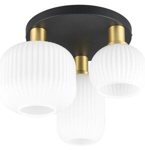 Trio T619800308 přisazené stropní svítidlo DIVA E27