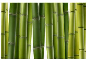 Vliesová fototapeta - Bambus