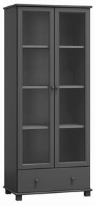 Vitrína RW103 80x42 cm Šedá