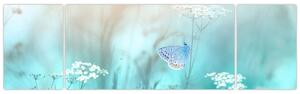 Obraz - Motýlek v modrém (170x50 cm)