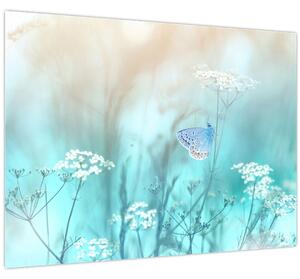 Obraz - Motýlek v modrém (70x50 cm)