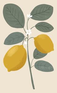 Ilustrace Lemon flower, Katarzyna Gąsiorowska
