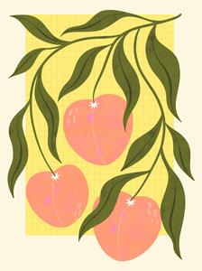 Ilustrace Peaches, Melissa Donne