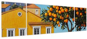 Obraz - Pomerančovník (170x50 cm)