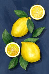Ilustrace Lemons, EMELIEmaria