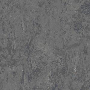 Tarkett | Linoleum Veneto XF2 2,5 mm 14872 673 tmavě šedá