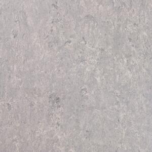 Tarkett | Linoleum Veneto XF2 2,5 mm 14872 702 šedá