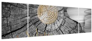 Obraz - Kmen stromu v koláži (170x50 cm)
