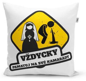 Sablio Polštář Vždycky pamatuj na svoje kamarády: 40x40 cm