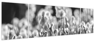 Obraz - Letní louka (170x50 cm)