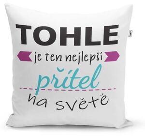 Sablio Polštář Tohle je ten nejlepší přítel na světě: 40x40 cm