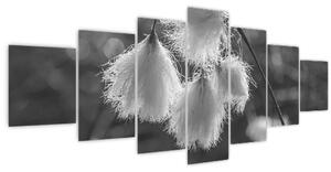 Obraz - Cottongrass (210x100 cm)