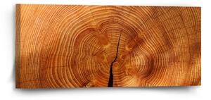 Sablio Obraz Dřevo 2 - 110x50 cm