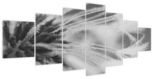 Obraz - Pampeliška (210x100 cm)