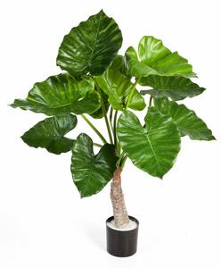 Umělá rostlina Alacasia deluxe, 80cm